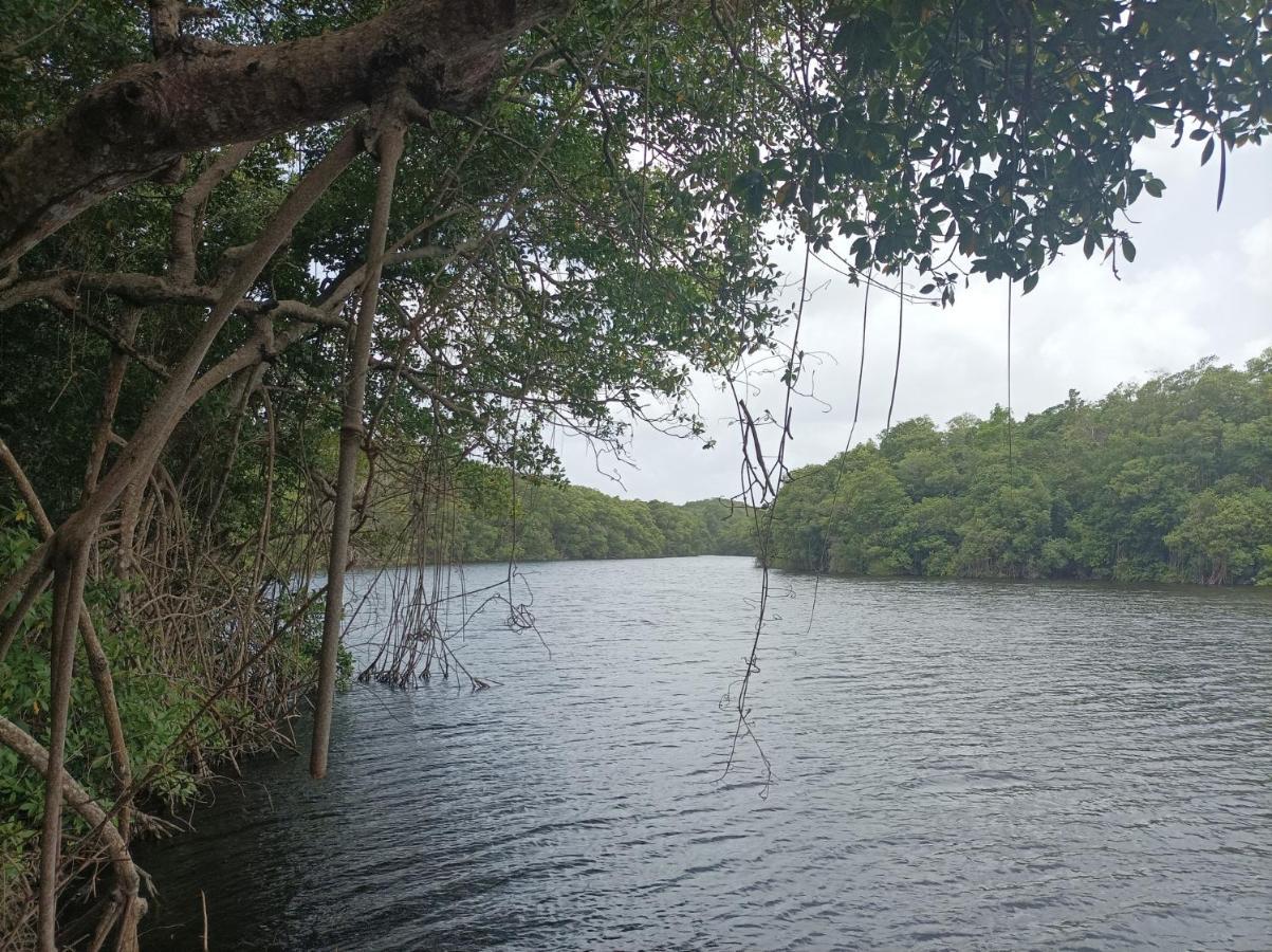 Kaz'Detente, Marie Galante, Plage Kawann Grand-Bourg  Buitenkant foto
